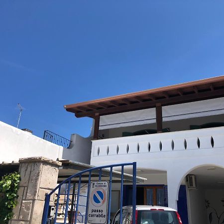 Il Girasole Leilighet Torre dell'Orso Eksteriør bilde